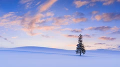 【北海道】冬にこそ行きたい！きれいな雪景色が見られる観光モデルコース11選