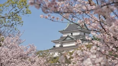 【2024年・関西】桜の名所へ出かける旅行プラン10選