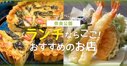 奈良公園周辺でランチならここ！おすすめのお店16選 