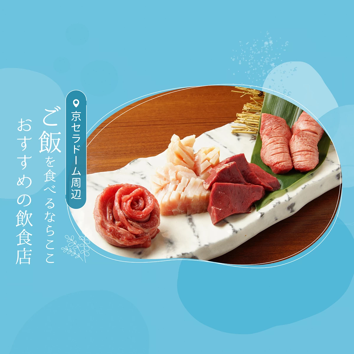 活動歴および当時の関連ビジュアル記録