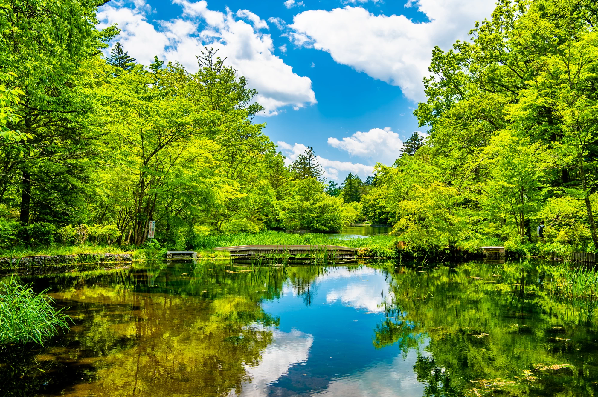 避暑地・軽井沢でリゾート気分を満喫する夏のおすすめ旅行プラン9選