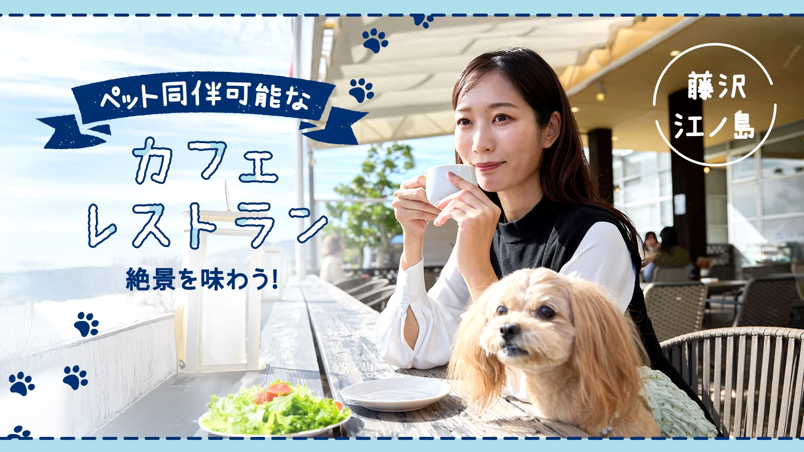 藤沢・江ノ島の絶景を味わう！ペット同伴可能なカフェ・レストラン4選