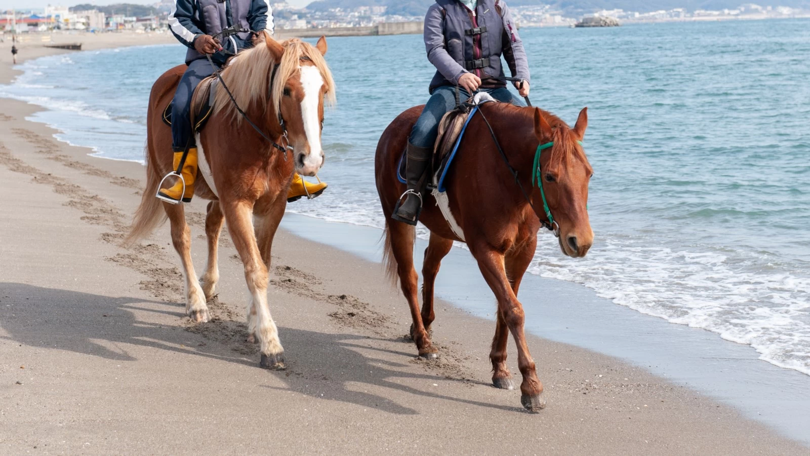 2026年・午年こそ行きたい！初心者向け乗馬体験13選＆めずらしい馬スポットもご紹介
