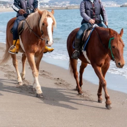 2026年・午年こそ行きたい！初心者向け乗馬体験13選＆めずらしい馬スポットもご紹介