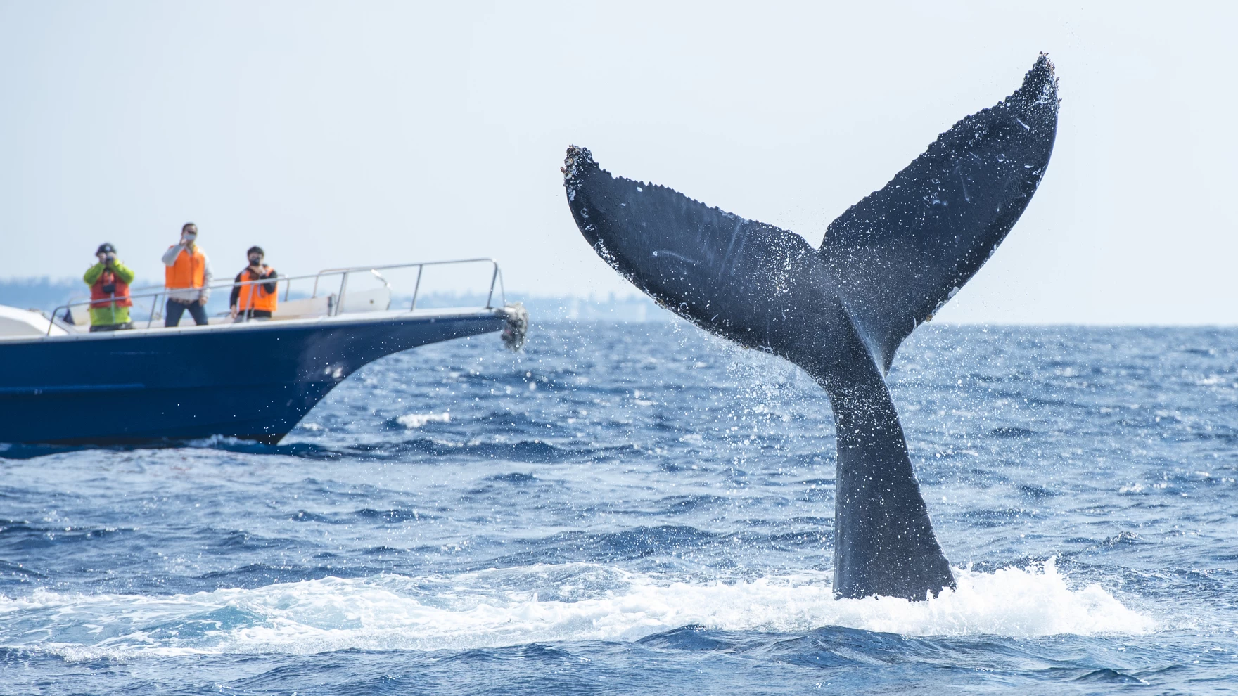 【旅色コンシェルジュ推薦】冬の沖縄の楽しみ方をご紹介！観光やアクティビティを楽しむ旅行プラン5選