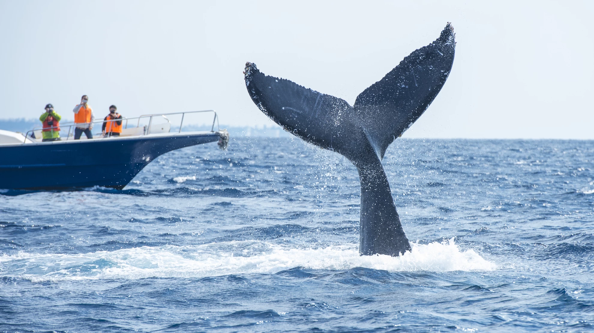 【旅色コンシェルジュ推薦】冬の沖縄の楽しみ方をご紹介！観光やアクティビティを楽しむ旅行プラン5選