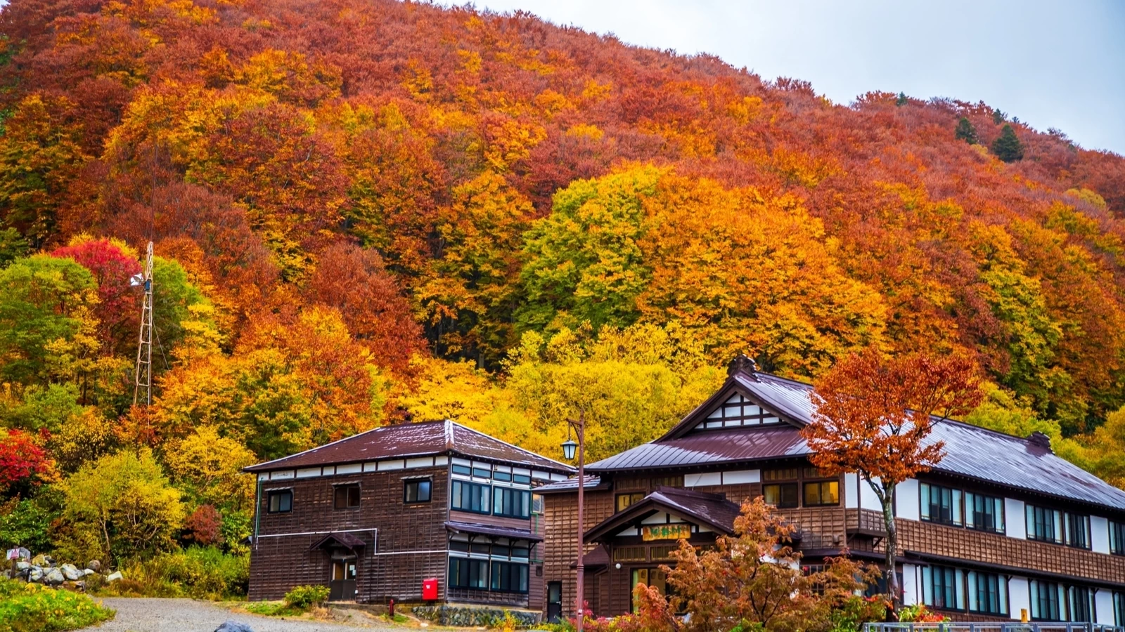 青森・酸ヶ湯温泉 完全ガイド｜名物「ヒバ千人風呂」の混浴ルール・日帰り・アクセスを徹底解説