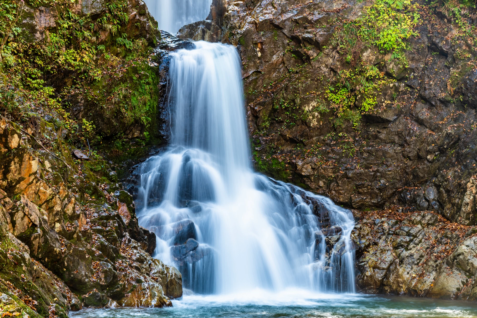 白布温泉とは？奥羽三高湯に数えられる山形県米沢市の名湯｜観光ガイド