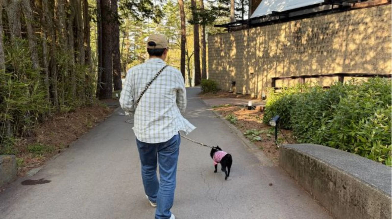 愛犬と癒しを求めたご褒美旅。シッティングサービスで夫婦時間も叶う「フォレストヴィレッジ」の宿泊レポート
