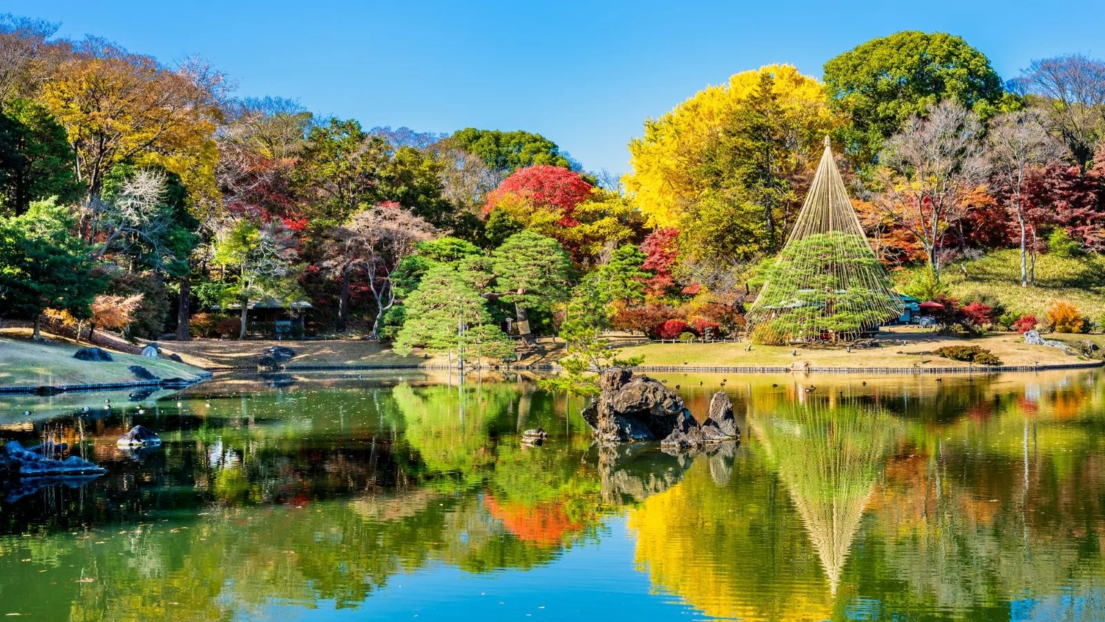 秋の東京で大人デートを楽しもう!都内でまったりする旅行プラン14選