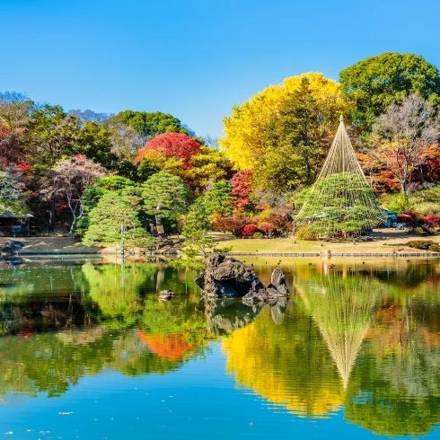 秋の東京で大人デートを楽しもう！都内でまったりする旅行プラン14選
