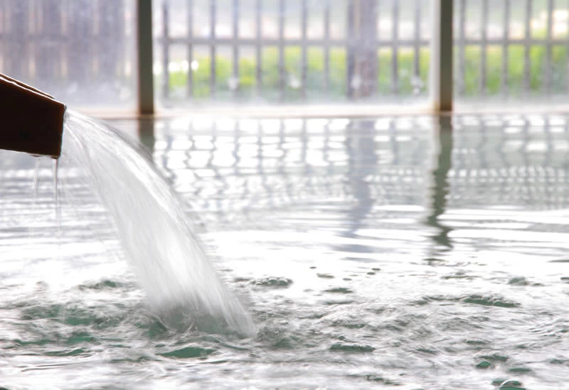 源泉掛け流しの湯を堪能できる湯処