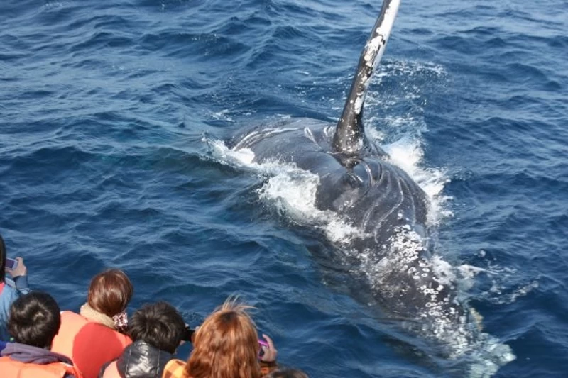 出典：https://tabiiro.jp/plan/1439/