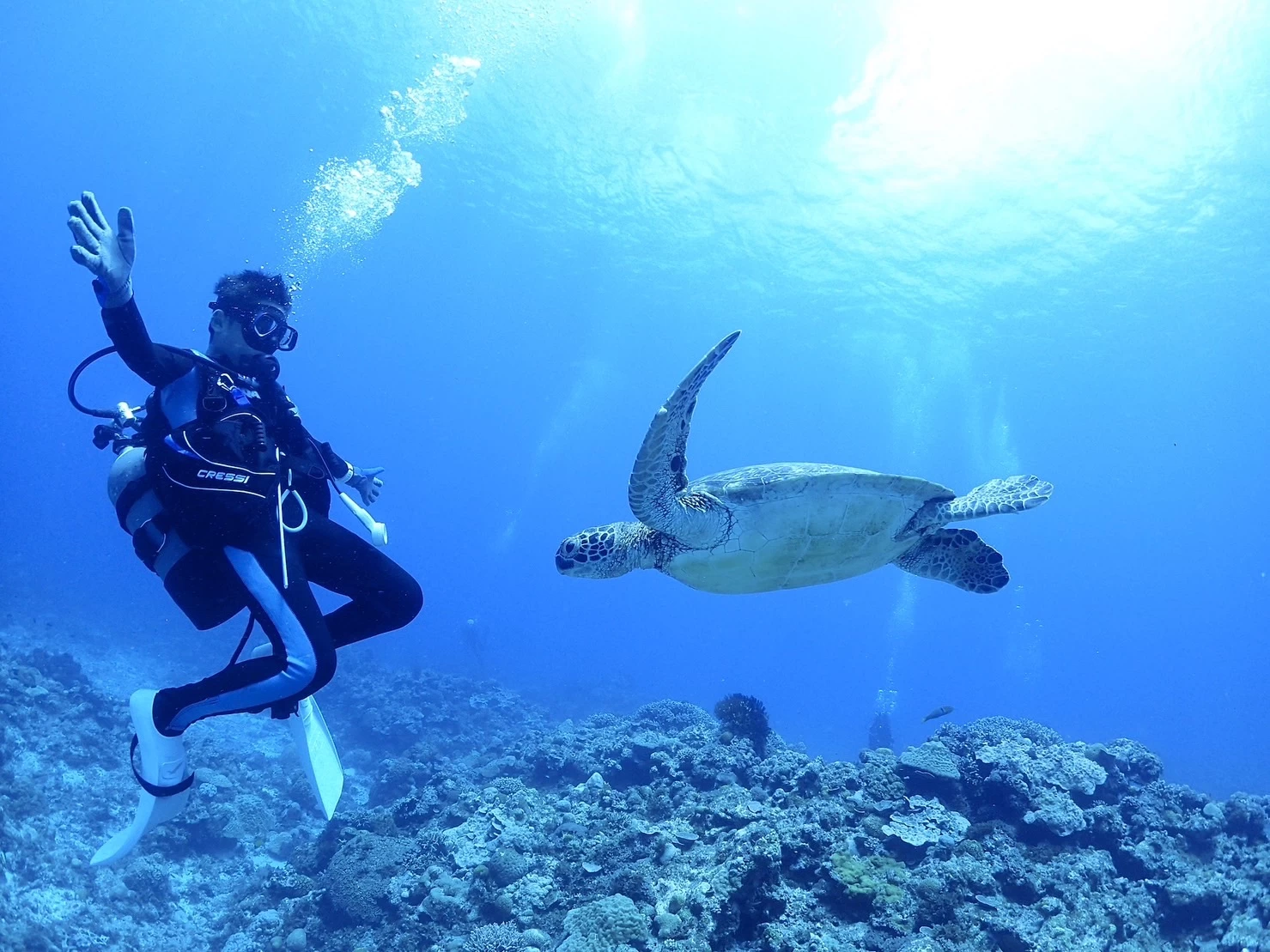 出典：https://tabiiro.jp/plan/1900/