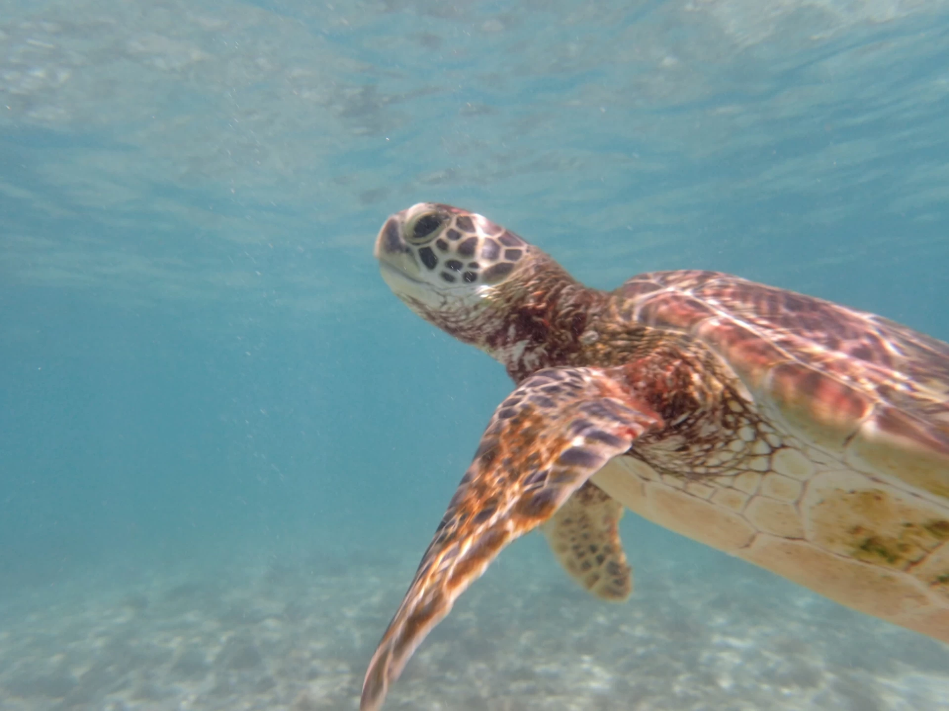 出典：https://tabiiro.jp/plan/2064/