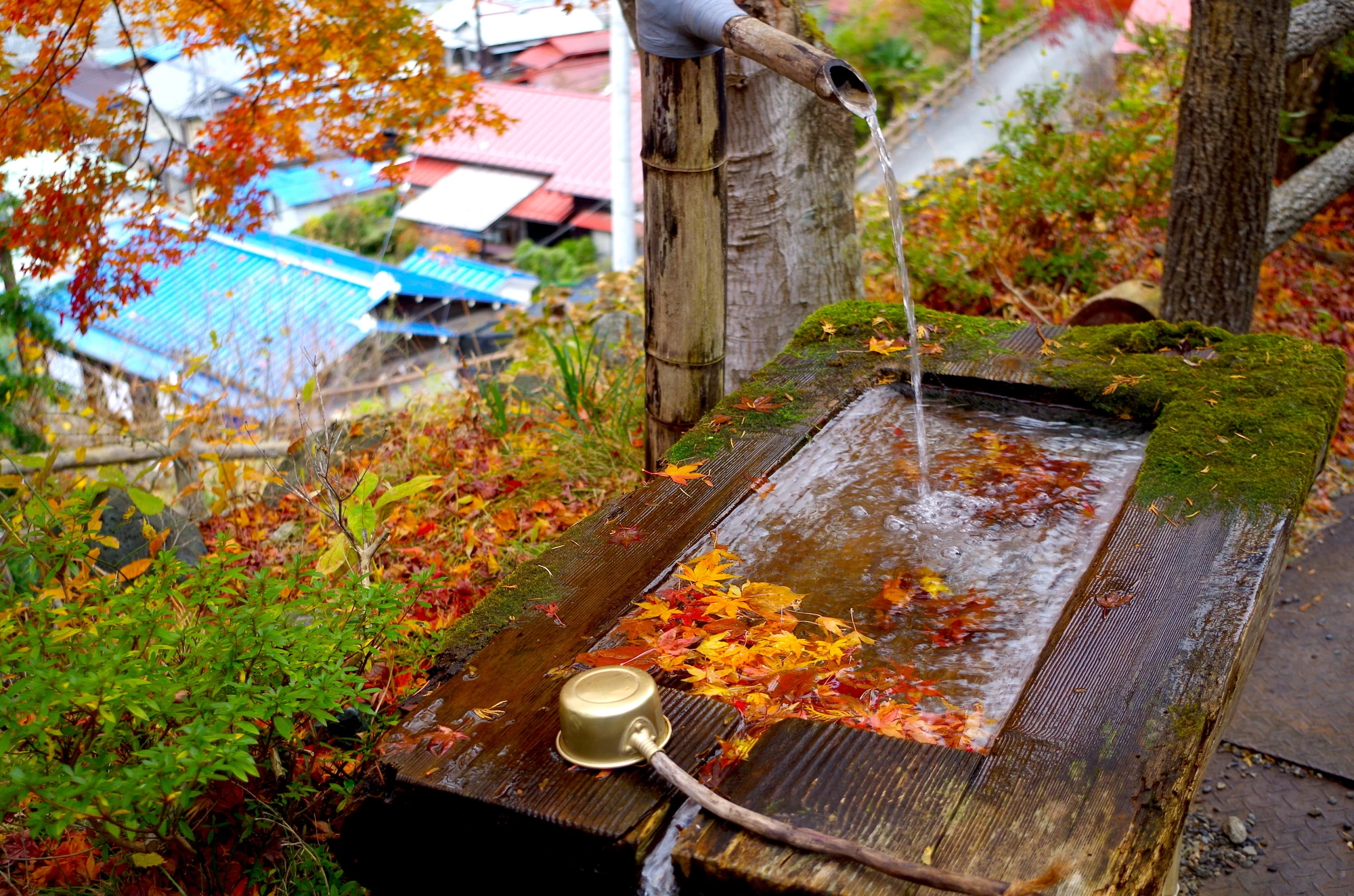 紅葉の早川渓谷奈良田温泉