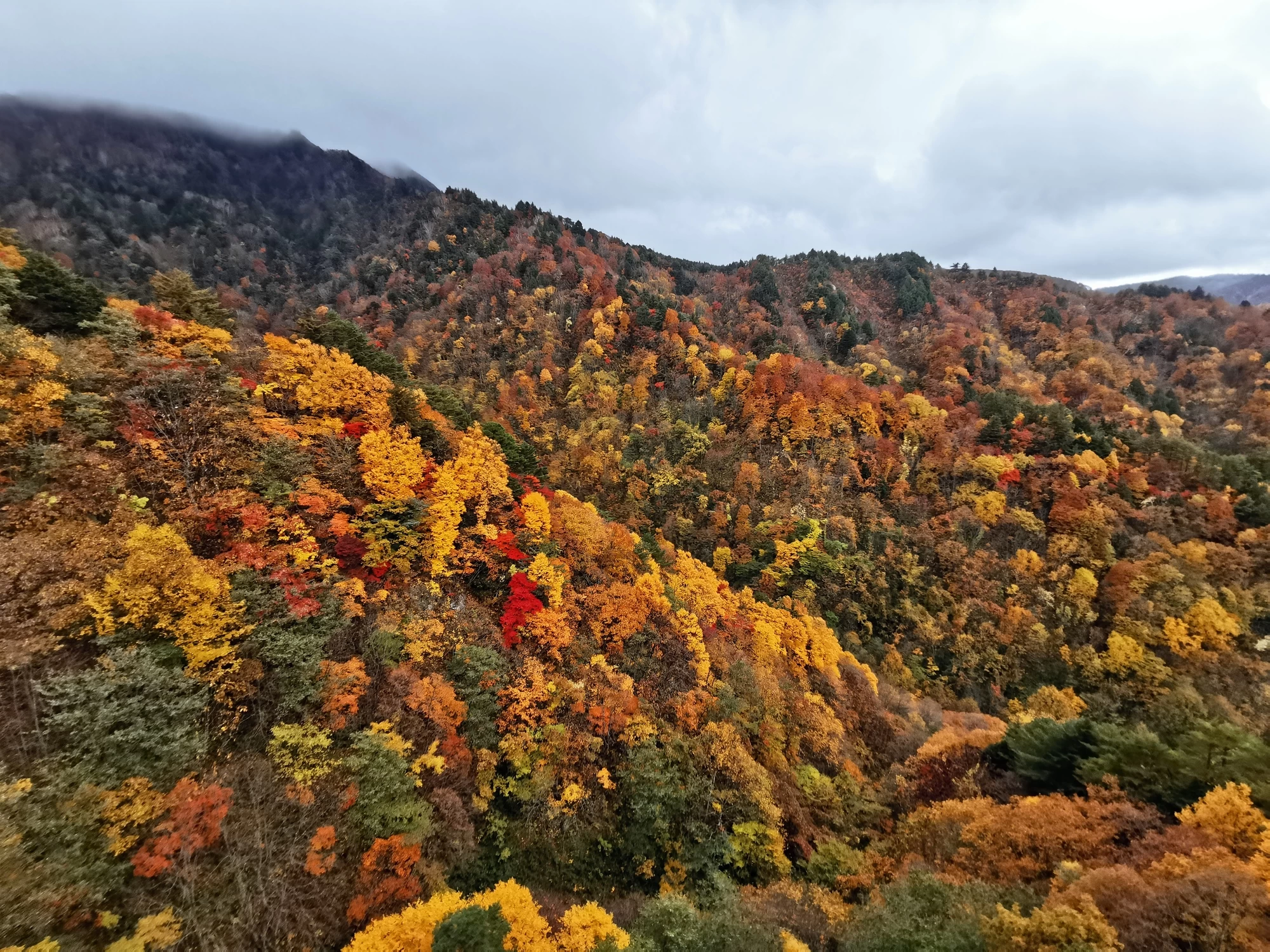 白布温泉の四季