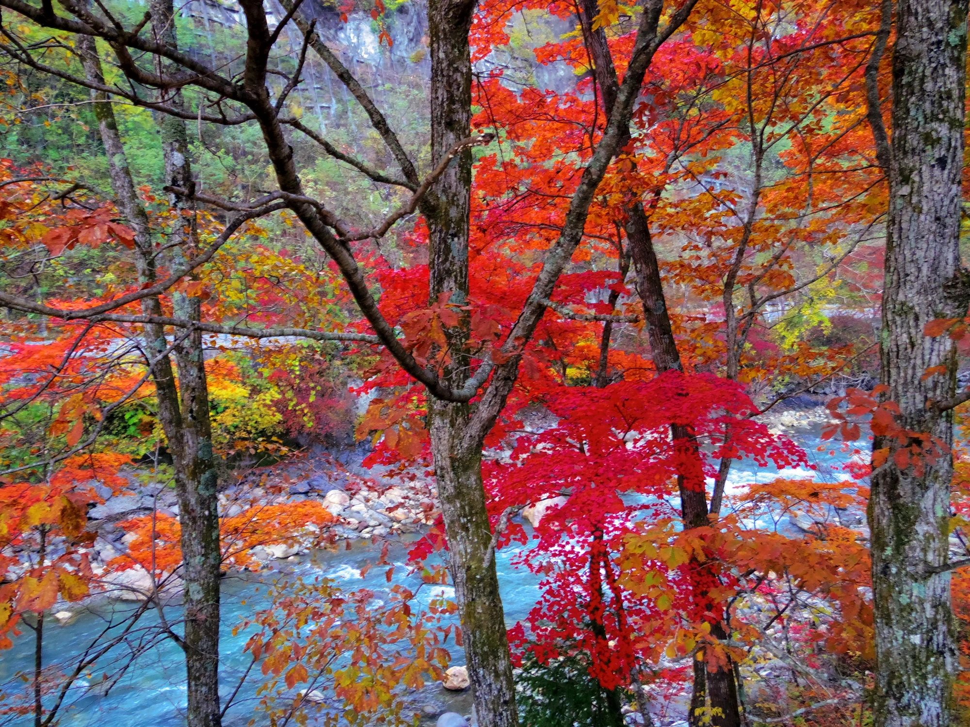 梓川と紅葉