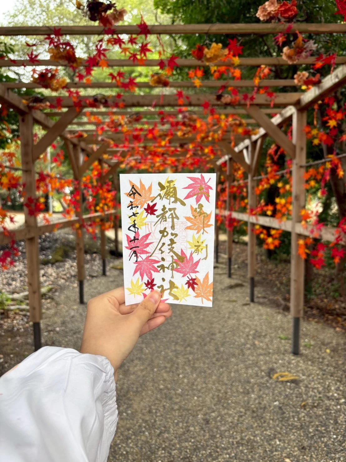 秋限定　もみじの御朱印