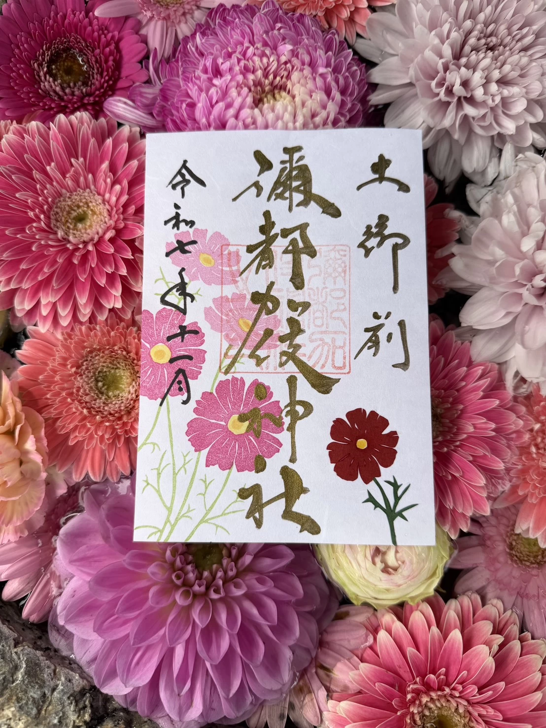 コスモスの御朱印