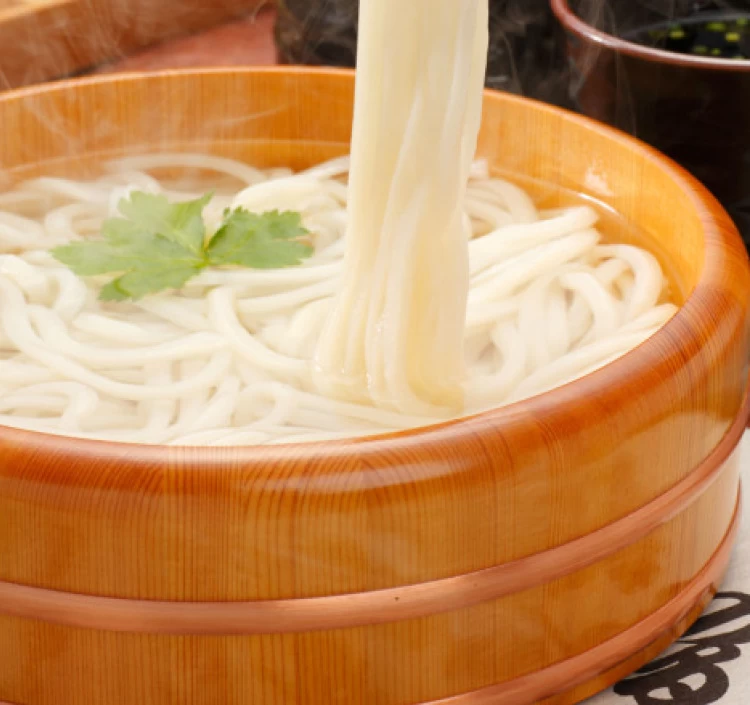 讃岐うどんをもっと楽しく！もっとおいしく！代打ち麺ロール500g　つゆ付