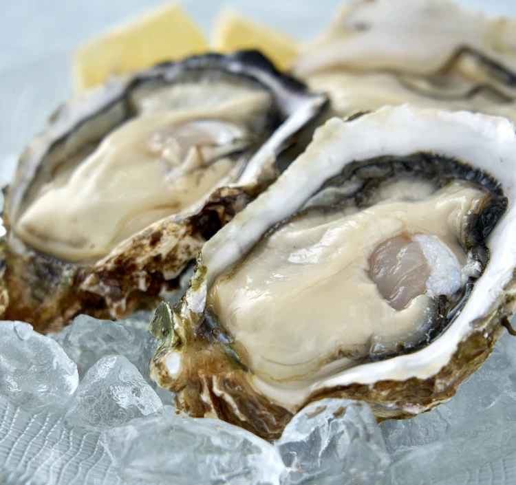 むき身・殻つきセット むき身(500グラム)殻つき(10個)