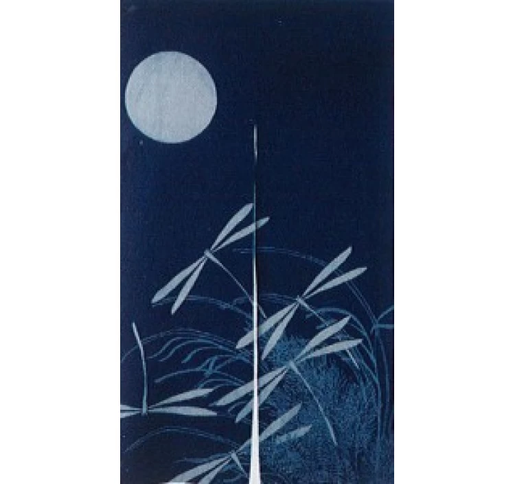 綿抜き染めのれん　月とんぼ藍 (174230-01)
