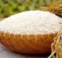 大朝の米 こしひかり（白米）10kg サムネイル