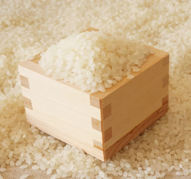 大朝の米 こしひかり（白米）300g×5個