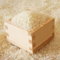 大朝の米　こしひかり（白米）3kg サムネイル