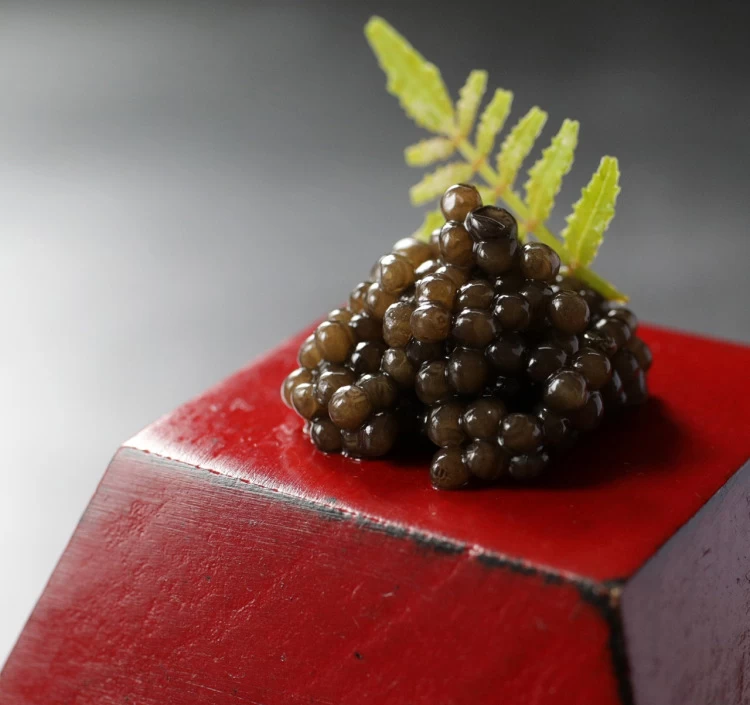 【盃 Sakazuki Caviar(サカズキキャビア)】玉櫻酒造仕立て 10g