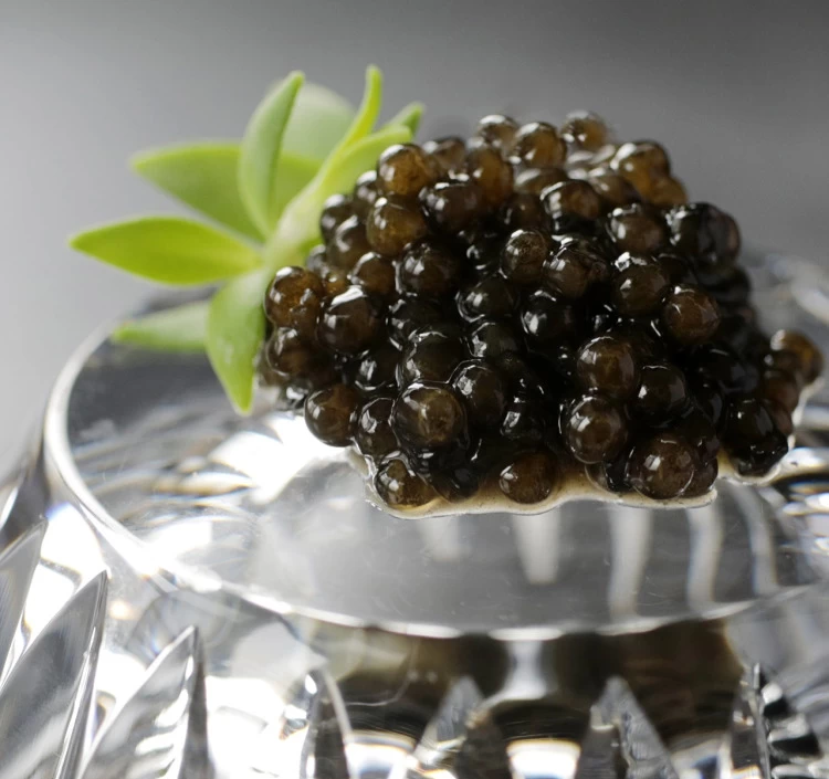 【喜 Yorokonbu Caviar（	ヨロコンブキャビア）】室屋一粒昆布入り　10g