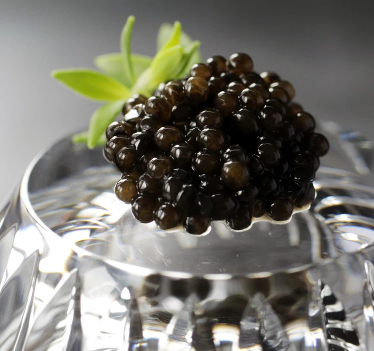 【醤 Hishio Caviar（ヒシオキャビア）】垣崎醤油仕立て　10g