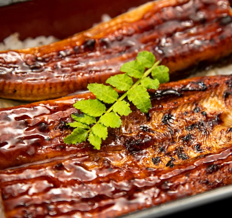 国産うなぎ蒲焼（1尾） 