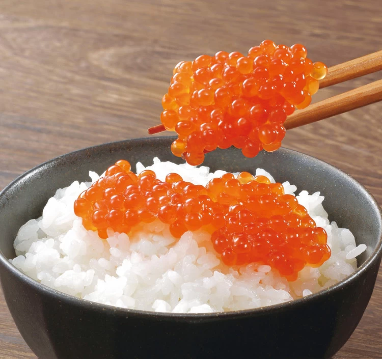 【505】匠海の舞（たくみのまい）