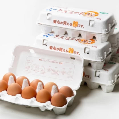 タズミの卵Ｌサイズ10個入り×6パックセット