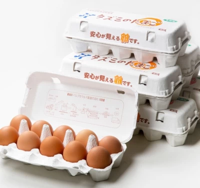 タズミの卵Mサイズ10個入り×6パックセット