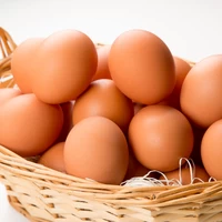 タズミの卵Lサイズ１０Kg(約１５０個)入り サムネイル