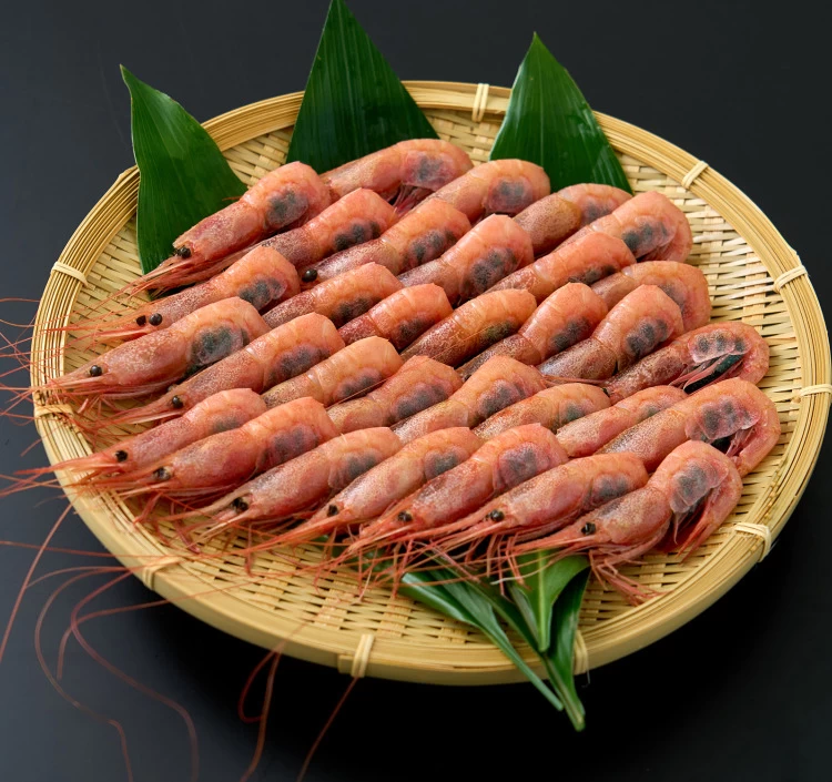 お刺身甘エビLサイズ約500g（30匹前後）＞｜エビ（えび・海老）をお