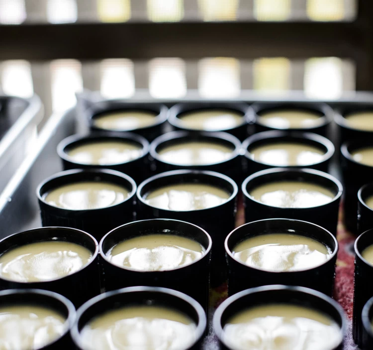 工房中に広がる甘い香り。シンプルな材料にこだわり、素材の良さを活かすプリン