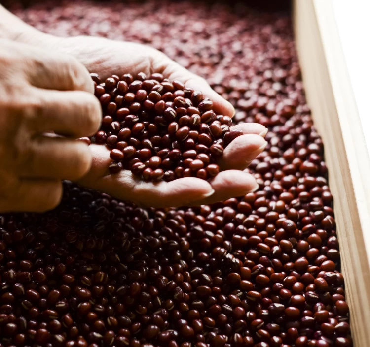 北海道産小豆に、佐賀県産小麦粉、沖縄県産きび砂糖と厳選した素材が活きる