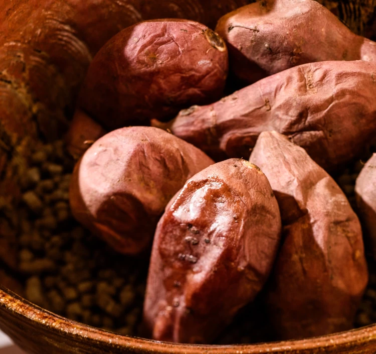 焼き物の町ならではの”セラミック焼成”で糖度40度へ