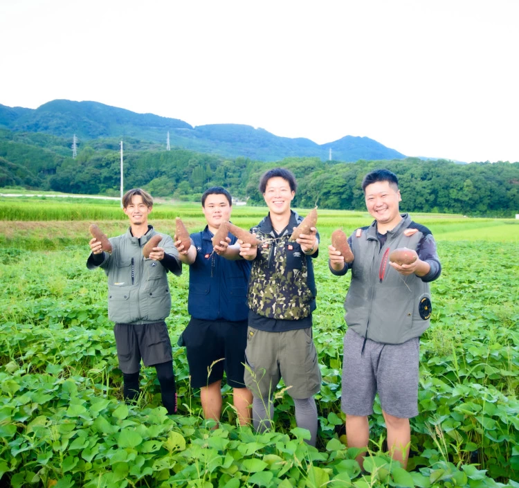 休耕田を再生し、紅はるかなどを栽培する立石農園