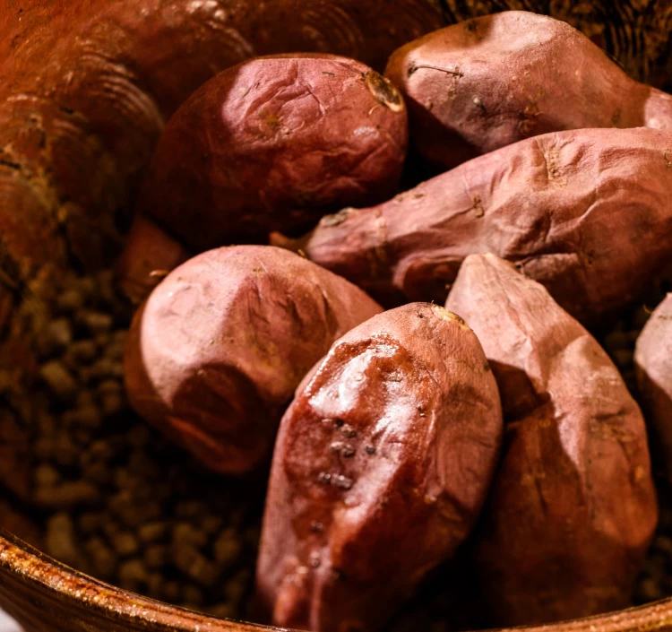 焼き物の町ならではの”セラミック焼成”で糖度40度へ