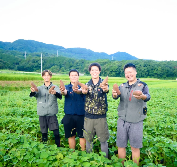 休耕田を再生し、紅はるかなどを栽培する立石農園