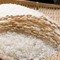 【特別栽培米】北海道産ゆめぴりか新米（白米）　5kg サムネイル