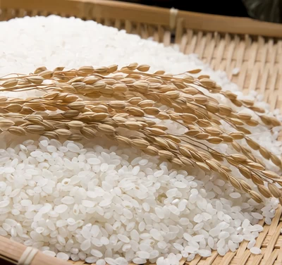 【特別栽培米】北海道産ゆめぴりか新米（白米）　5kg