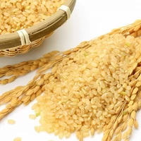 【特別栽培米】北海道産ゆめぴりか新米（玄米）　5kg サムネイル