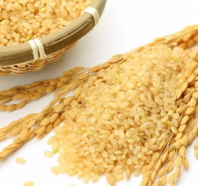 【特別栽培米】北海道産ゆめぴりか新米（玄米）　5kg