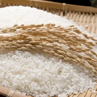 【農薬節減米】北海道産ゆめぴりか（玄米）　10kg　令和5年産 サムネイル